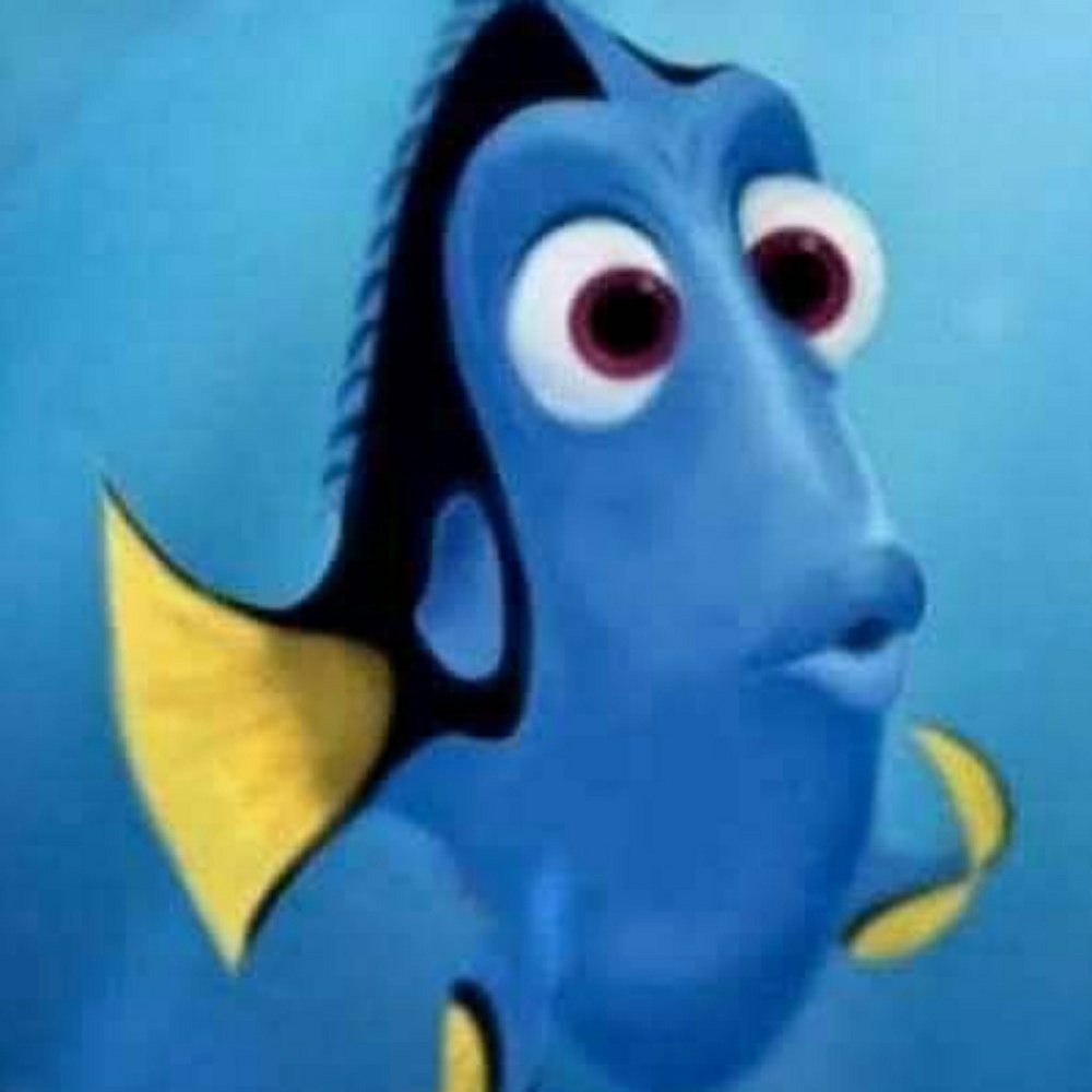 Meet your Posher, Jaralyn